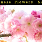 Japanese Flowers Names