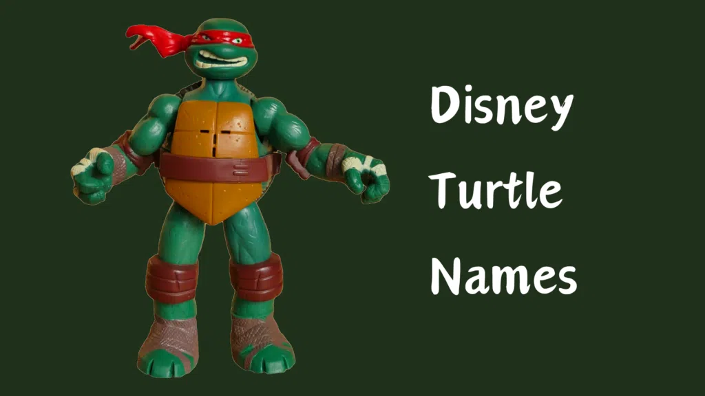 Cute green disney turtle