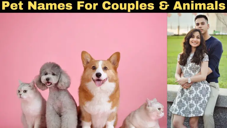 Unique Pet Names For Boyfriend Girlfriend & Pet Animals 2023