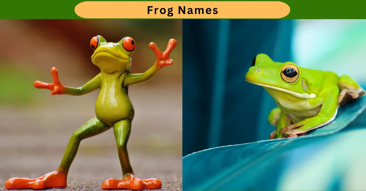 Frog Names