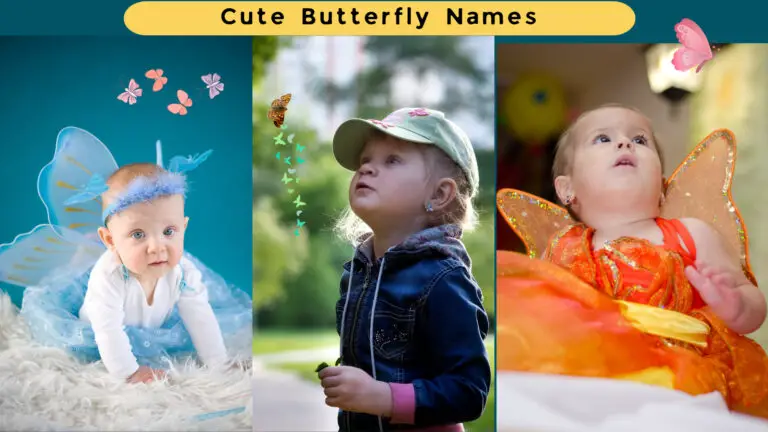 400+ Unique Butterfly Names for Girl & Pet Butterfly