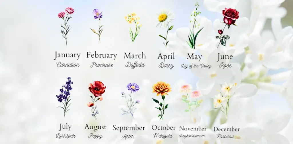 Birth Month Flowers