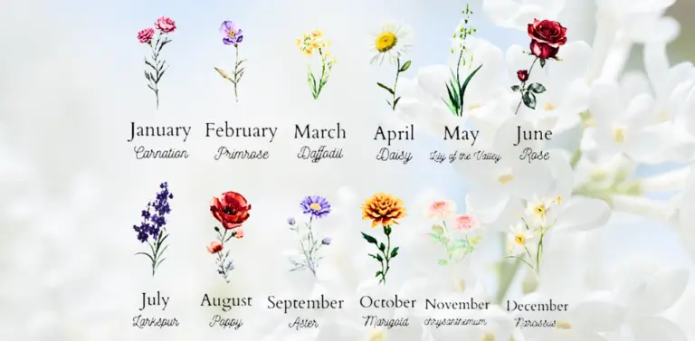 Birth Month Flowers with Meanings | Know Your Flower