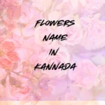 Flowers Names in Kannada