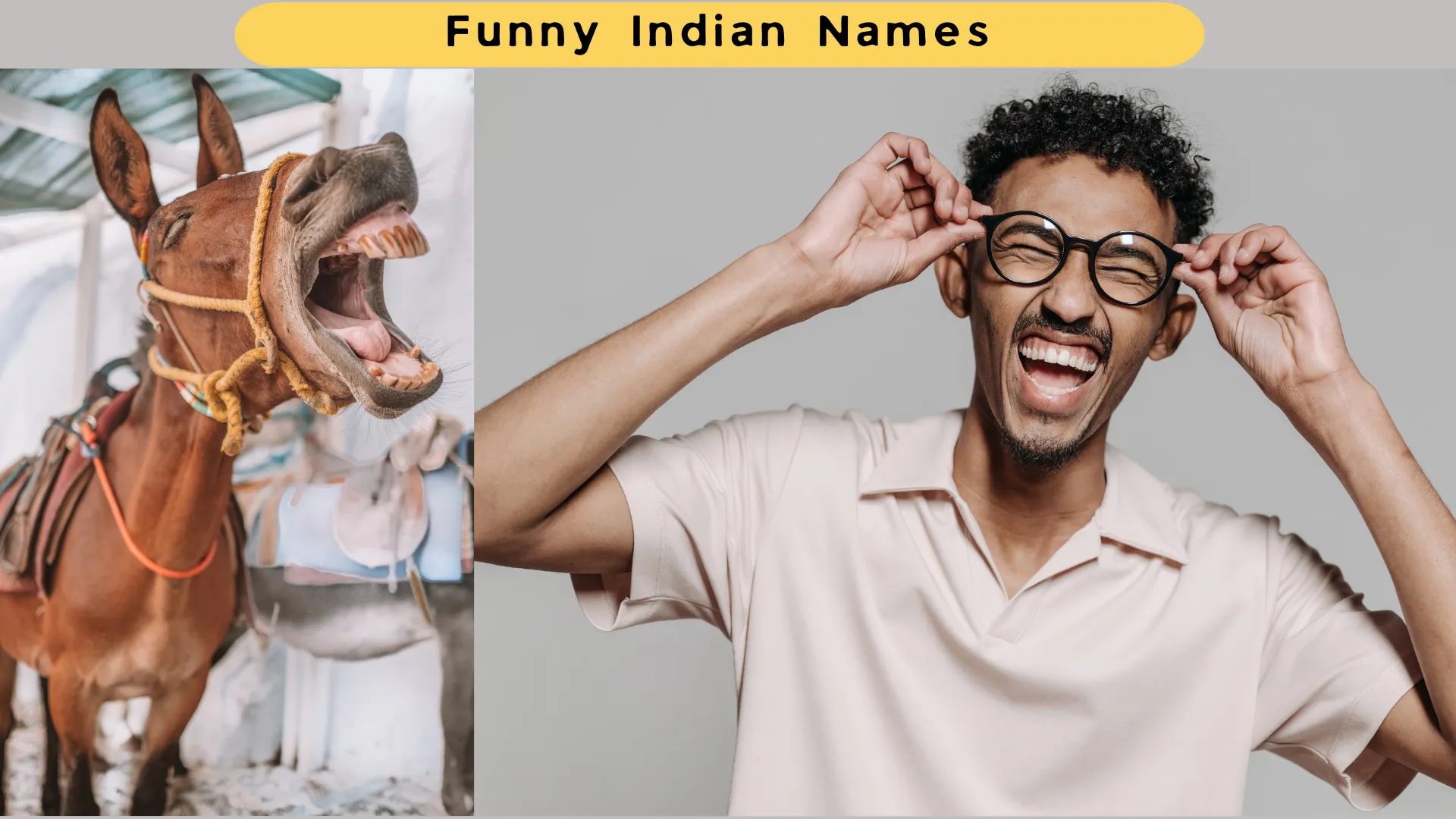 donkey smiling - Funny Indian Names