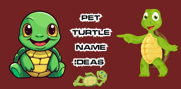 Cute green turtle - Cute Turtle Names