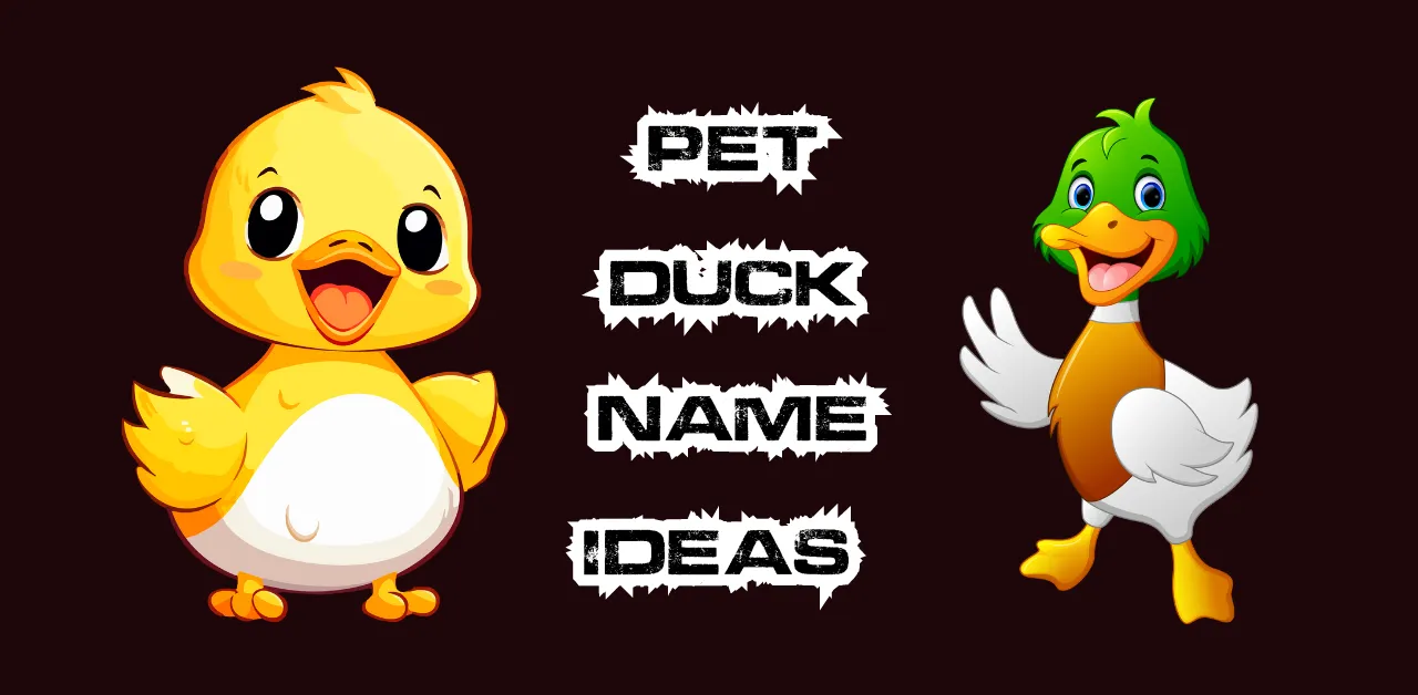 Cute yellow duck - Cute Duck Names